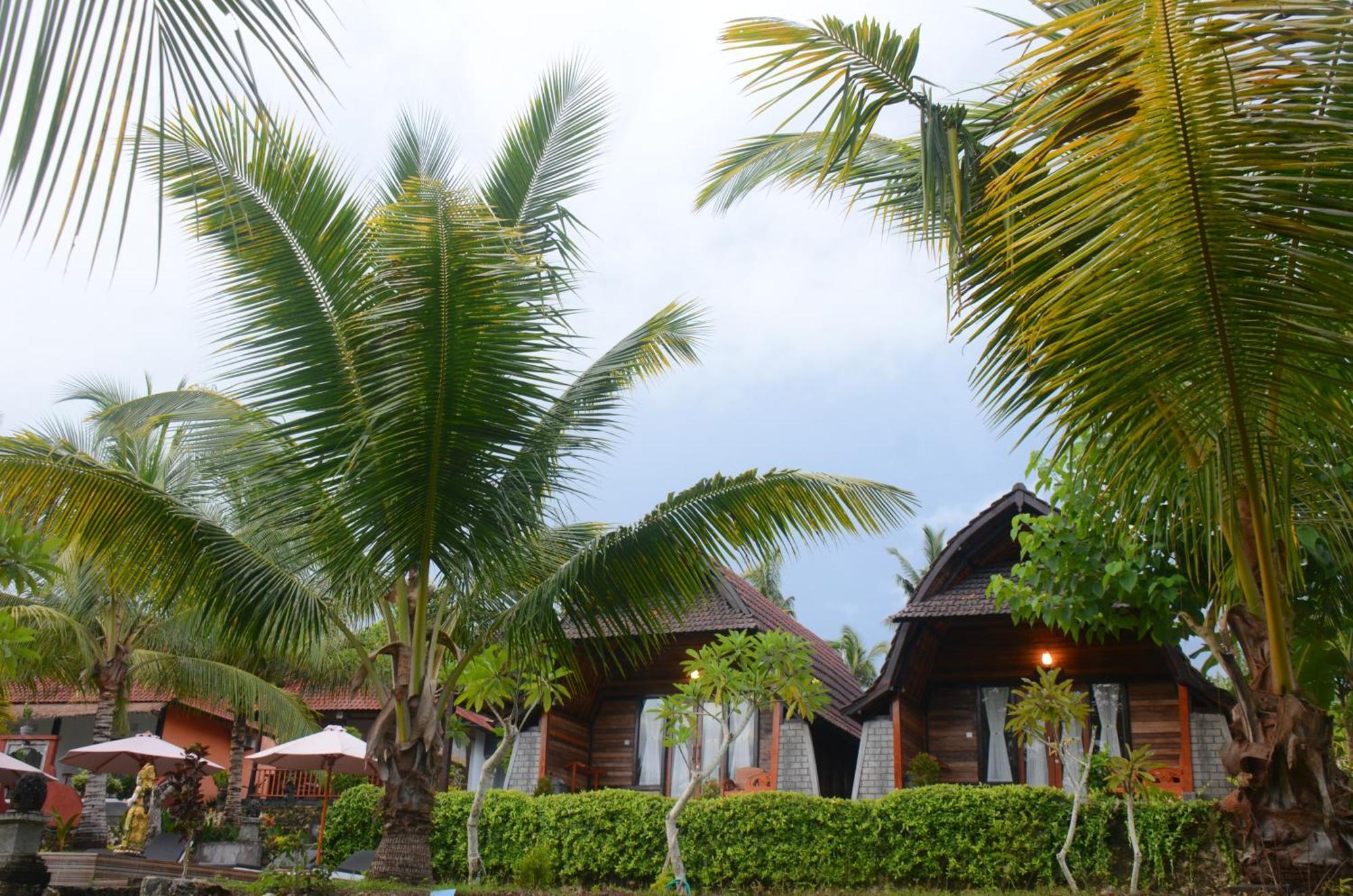 Mamaras Guest House Sakti Exterior foto